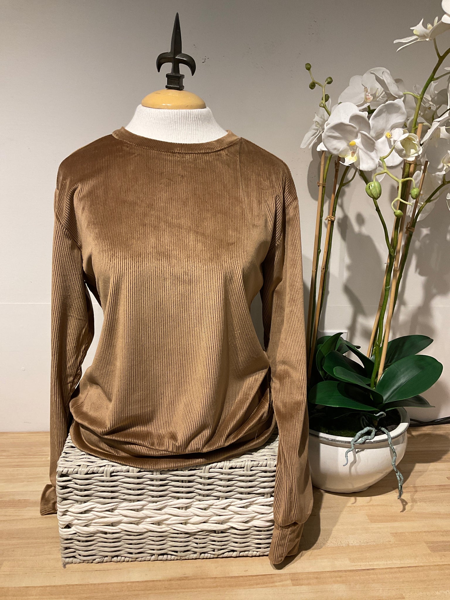 Dylan Brown Maeve Cordury Top