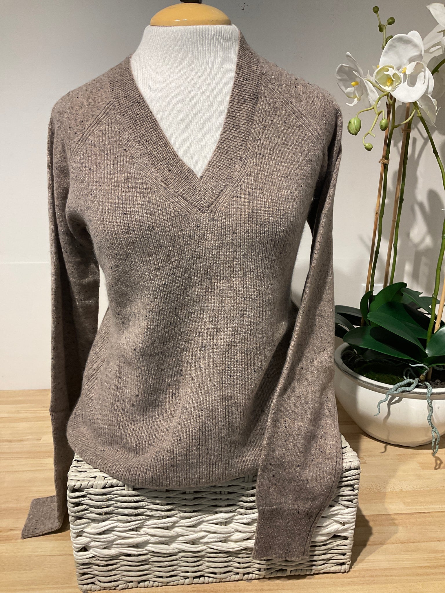 Pure Amici V Neck Nut Shaker Sweater