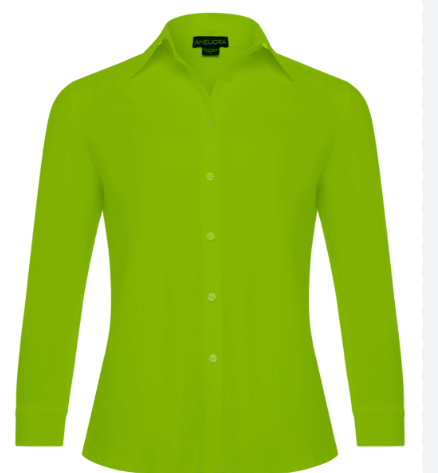 Ameliora Lime Long Sleeve Button Down Top