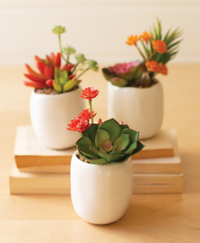 faux succulent white pot Kalalou Artificial Succulent Plant in White Pot – Chauette