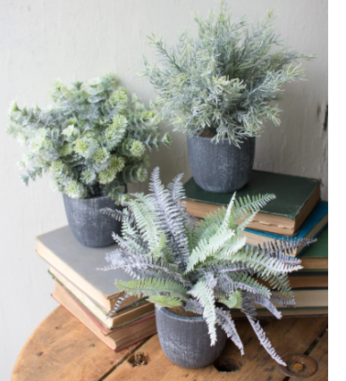 Kalalou Fern Succulents W Round Grey Pot